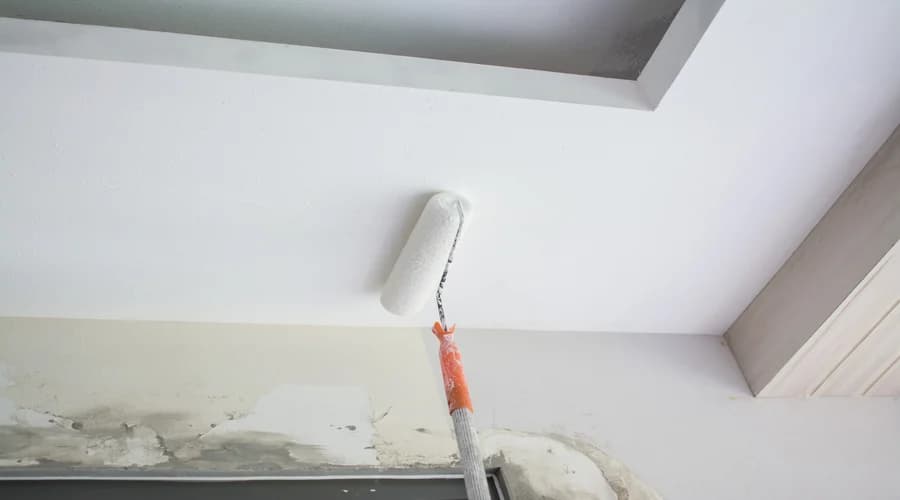 Ceiling Painting Works