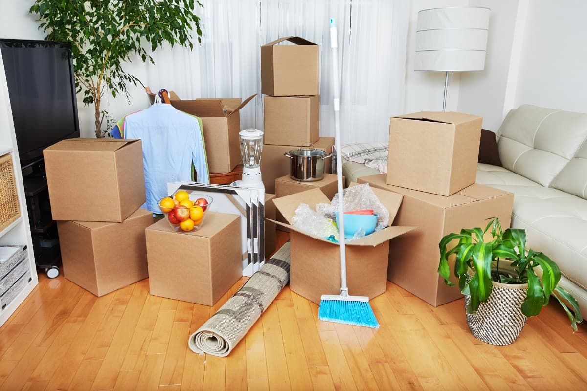 Move-In / Move-Out Cleaning
