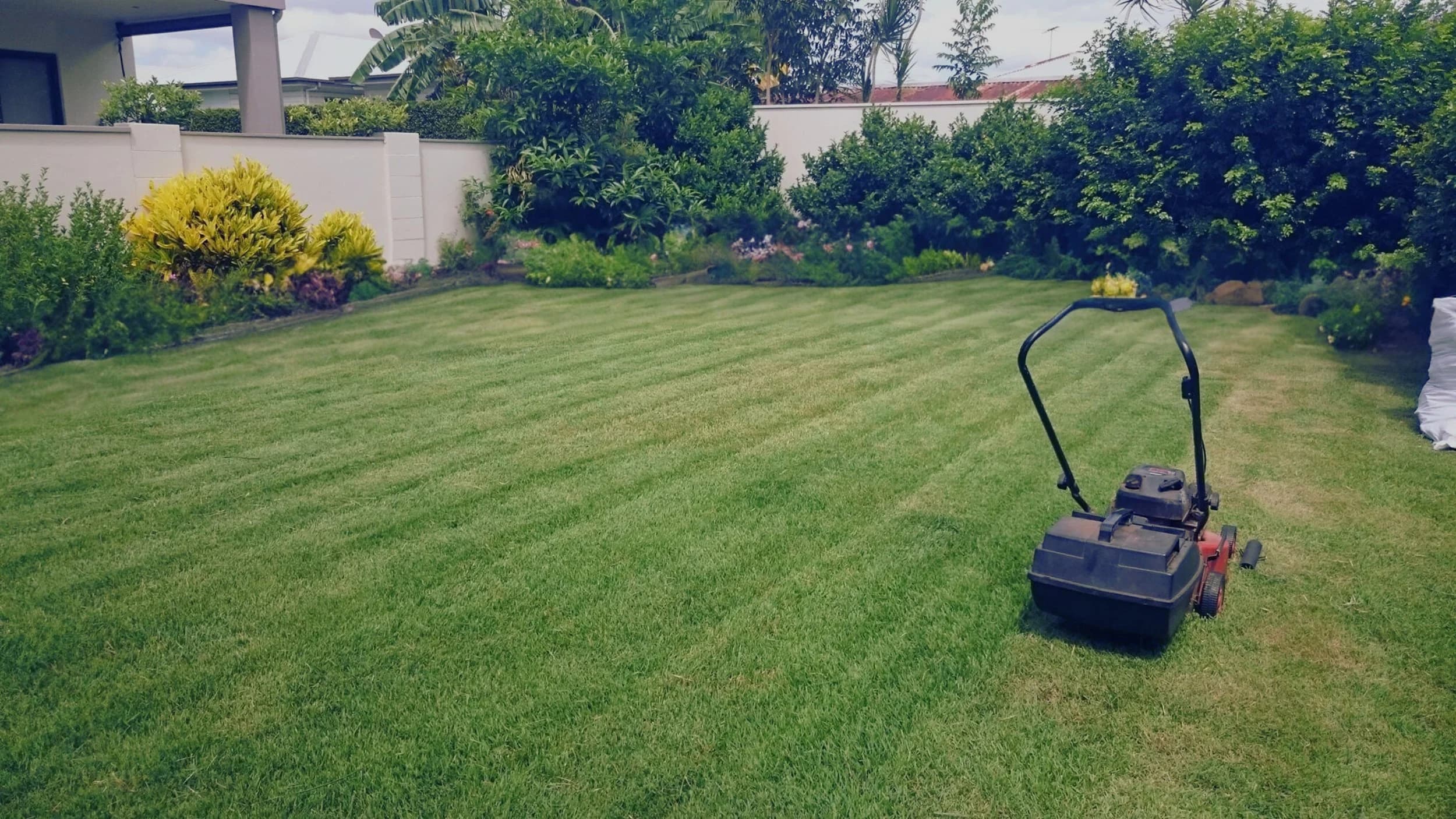 Lawn Mowing & Trimming