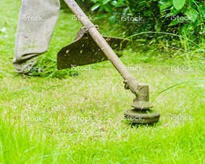 Garden Grass Cutting