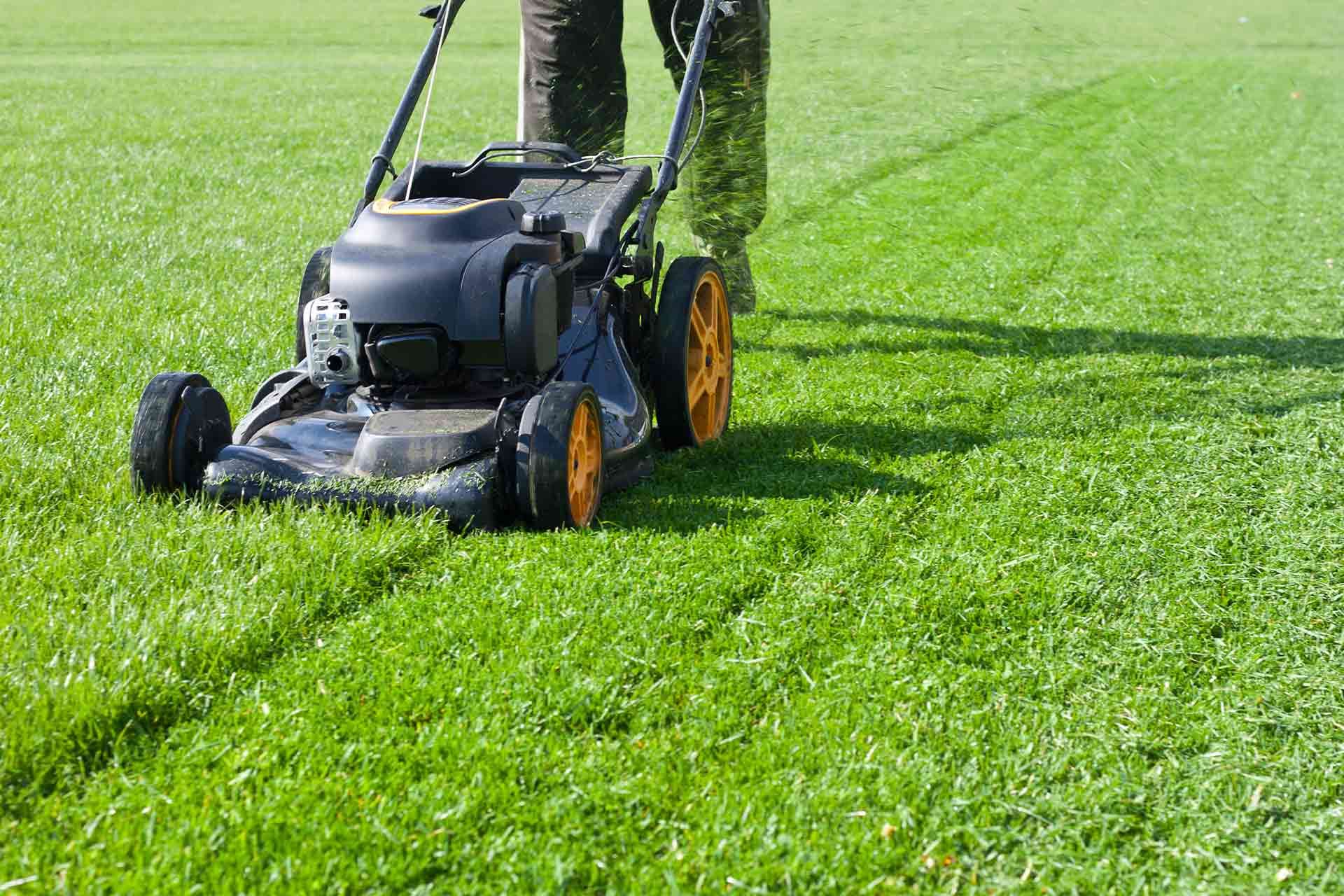Grass Cutting Services