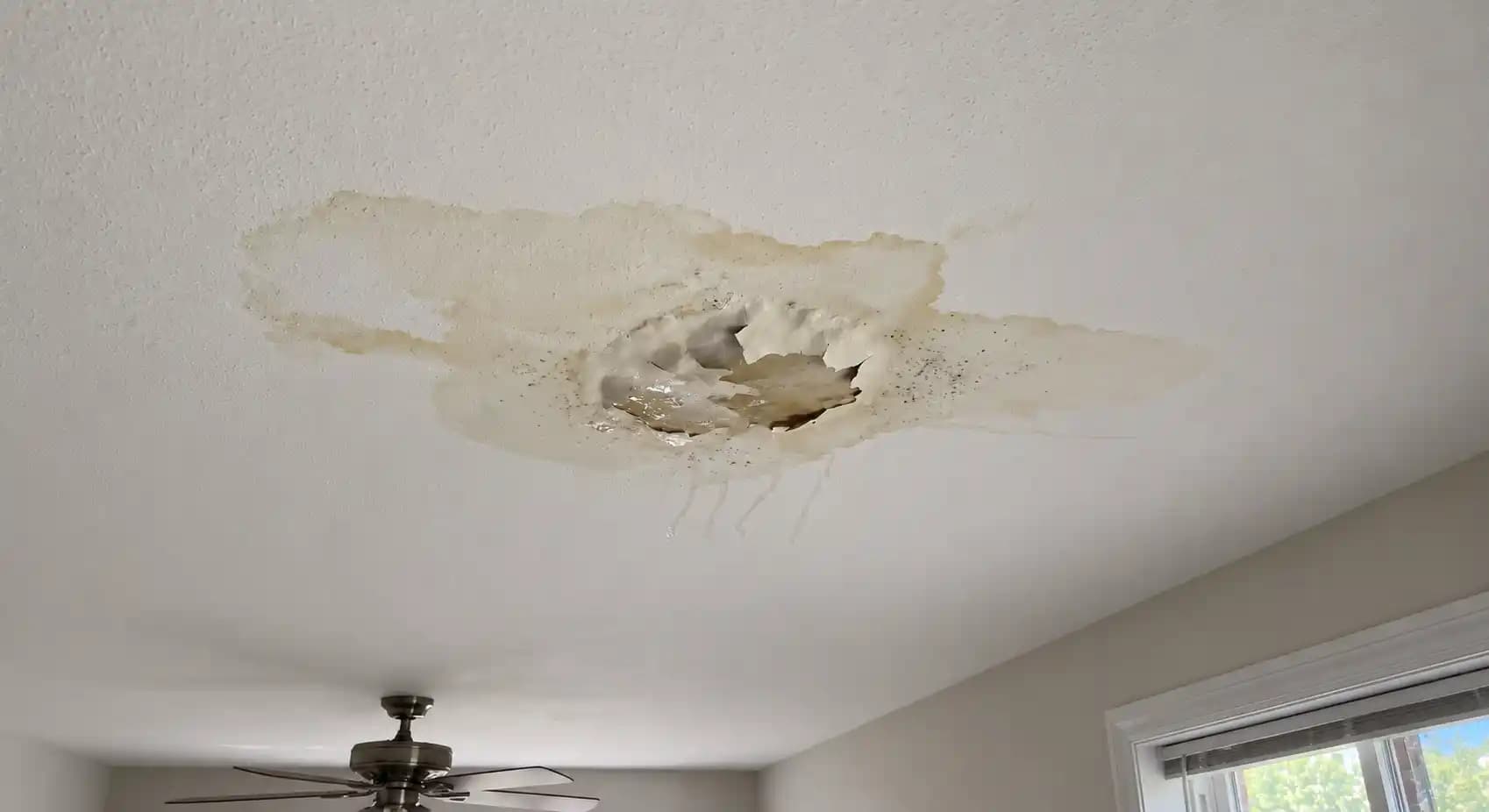 Ceiling Seepage Repair
